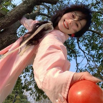 美国派：高潮再起